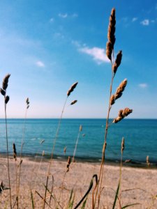 Warnemnde Strand, Berlin, Germany