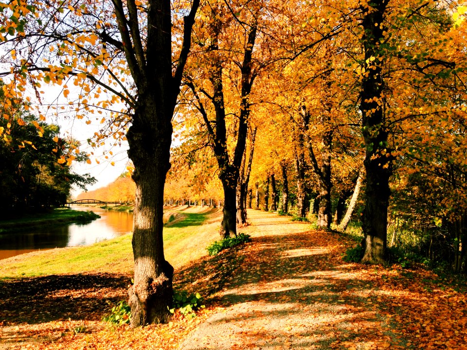 Bad liebenwerda, Germany, Scape