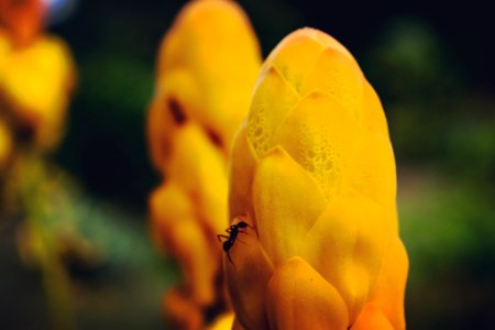 Aliyar, India, Macro