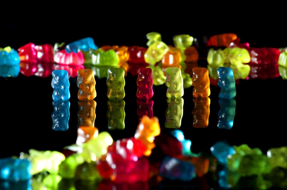 Bear gummi bears bear party