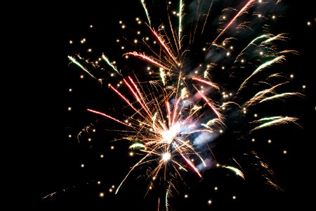 2016, Year, Nights
