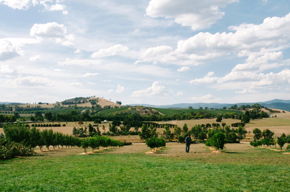 Australia, Yarra valley chocolaterie  ice creamery, Yarra glen