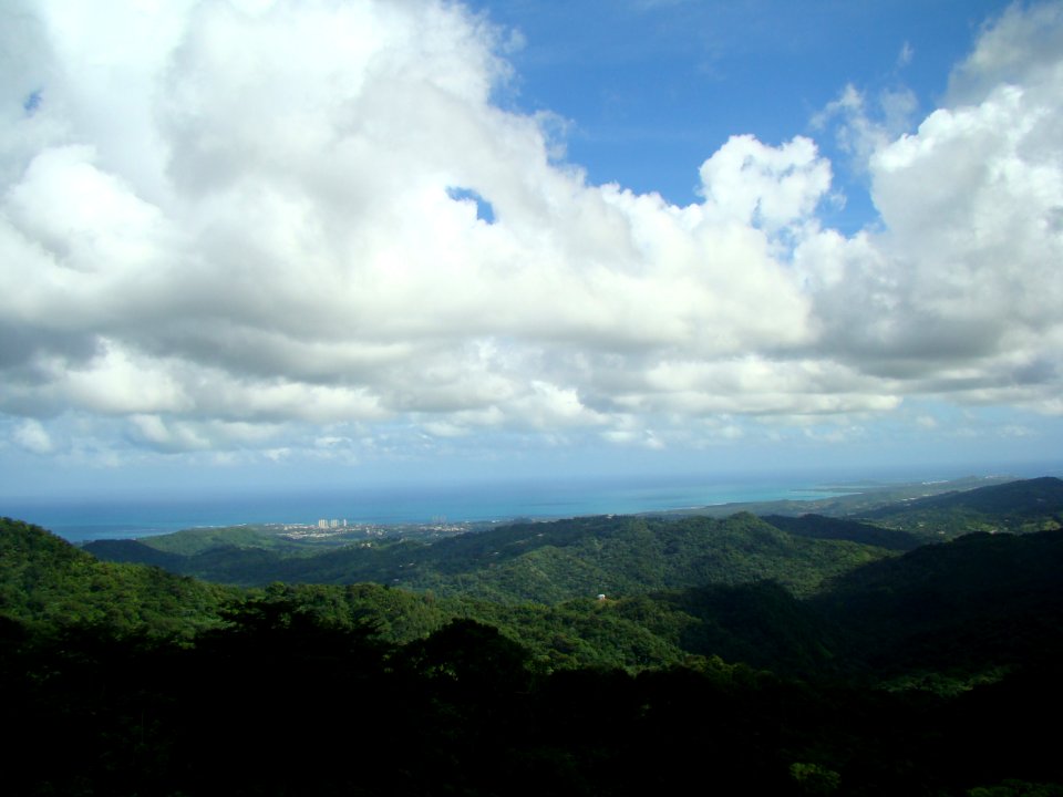 Puerto rico, El yunque national forest, Jungle