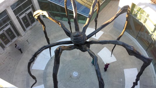 Crystal bridges museum of american art, Bentonville, United states