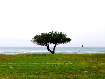 Hawaii, Lahaina, United states