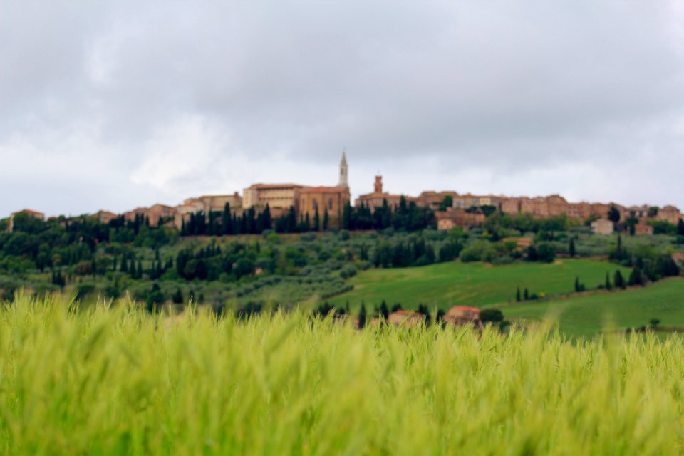 Italy, Val d orcia, Pienza