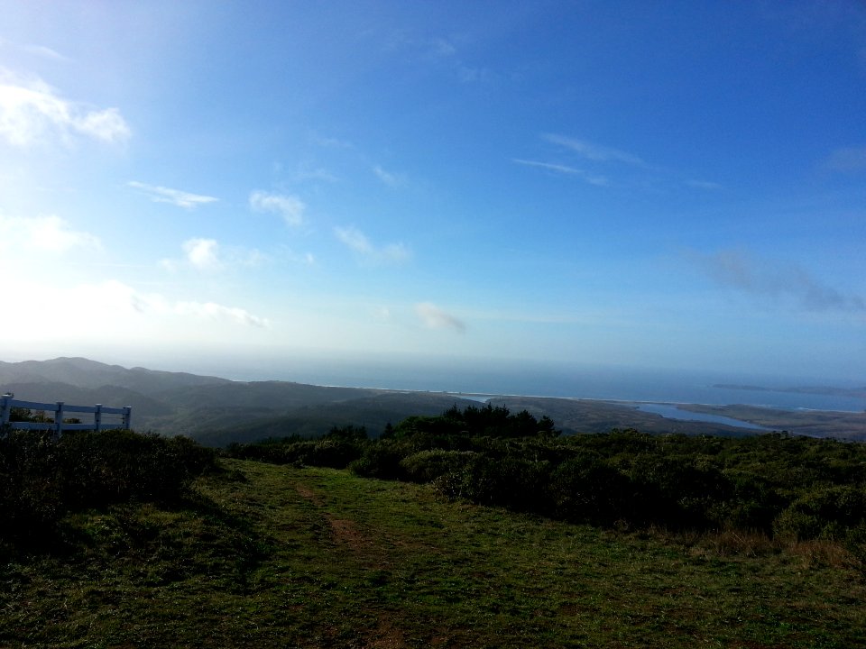 Point reyes station, United states, Grass