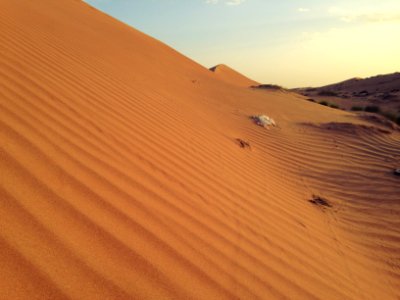 Oman, Scape, Desert