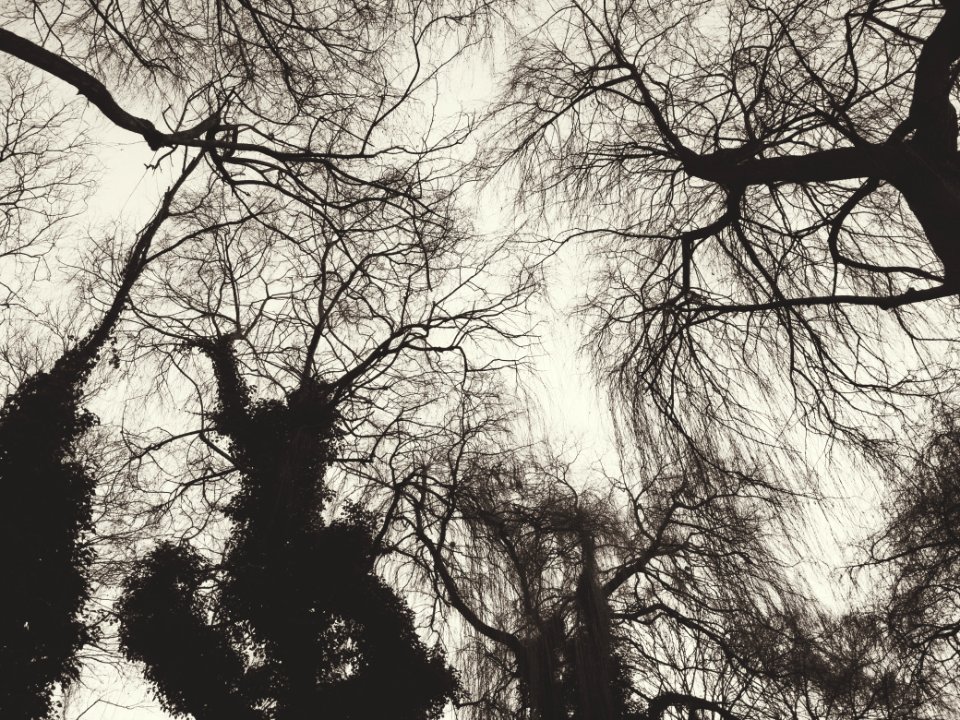 Eindhoven, Netherland, Branches