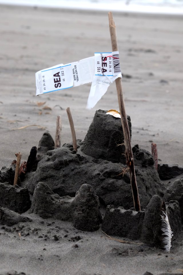Long beach, United states, Pacific northwest beach
