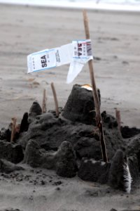 Long beach, United states, Pacific northwest beach