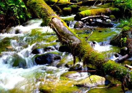 Flaming geyser park, Auburn, United states photo