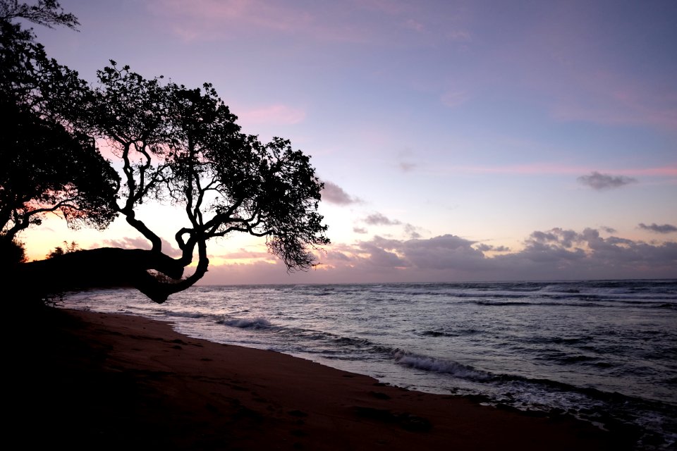 Kapaa, United states, Beach