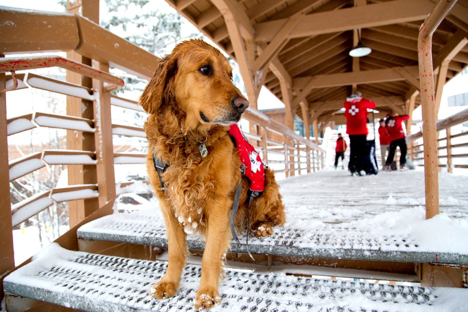 Taos ski valley, Inc., United states