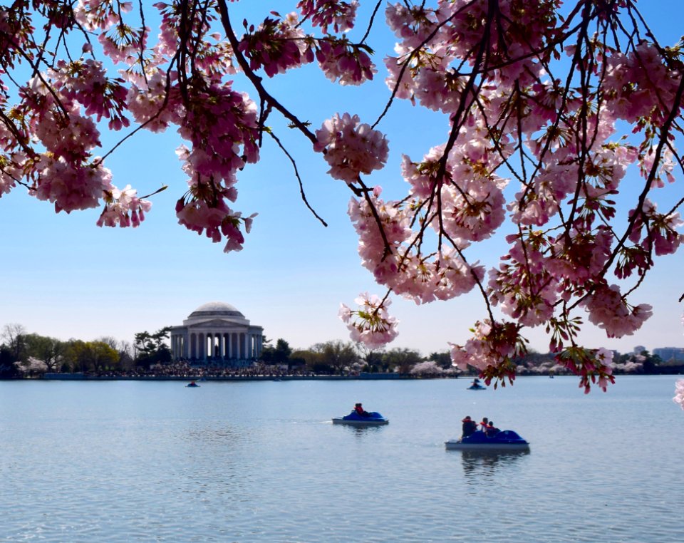 Tidal basin, Washington, United states