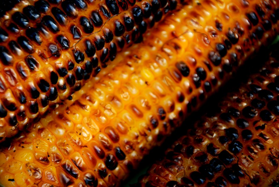 Black, Yellow, Macro