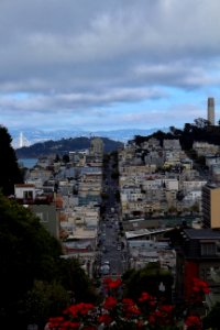 Lombard street, San francisco, United states photo