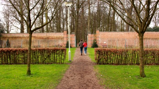 Beveren, Belgium, Forest