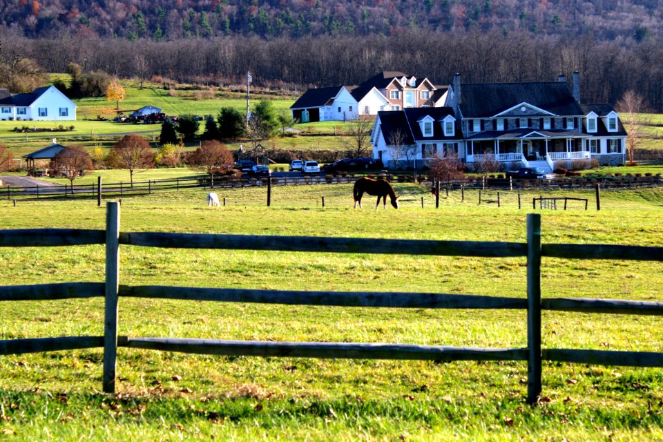 Country, Farm, Horse