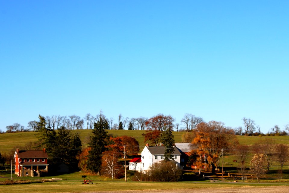 Horses, Barn, Field photo