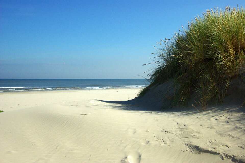 Dunes coast holiday