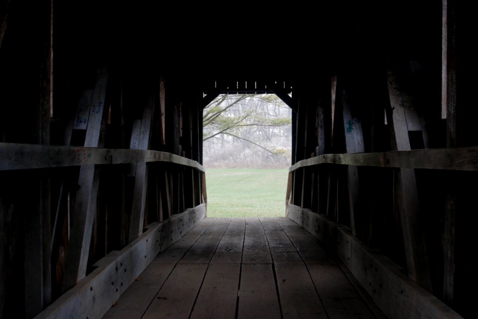 Park, Woods, Bridge