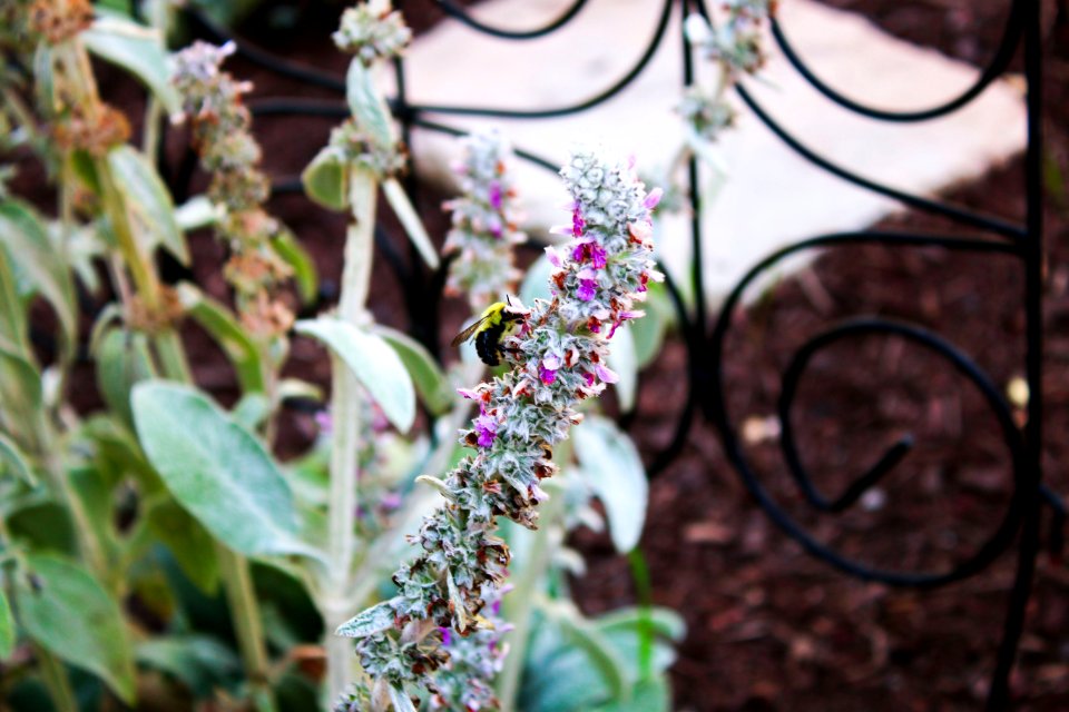 Pennsylvania, United states, Outside