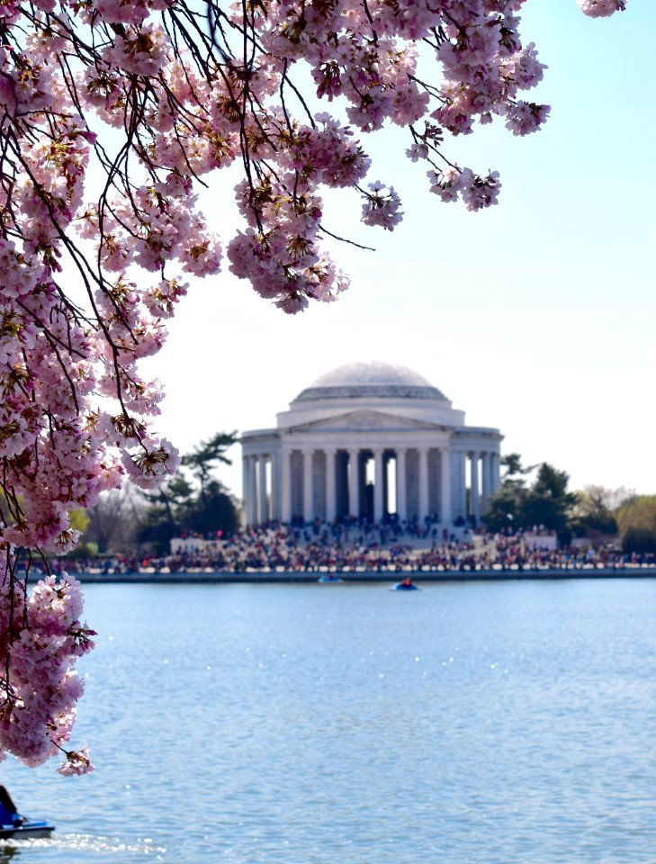 Jefferson memorial, Washington, United states