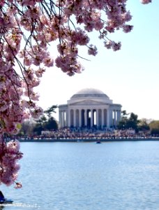 Jefferson memorial, Washington, United states