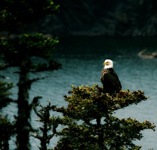 Newfoundl, Canada, Daytime photo