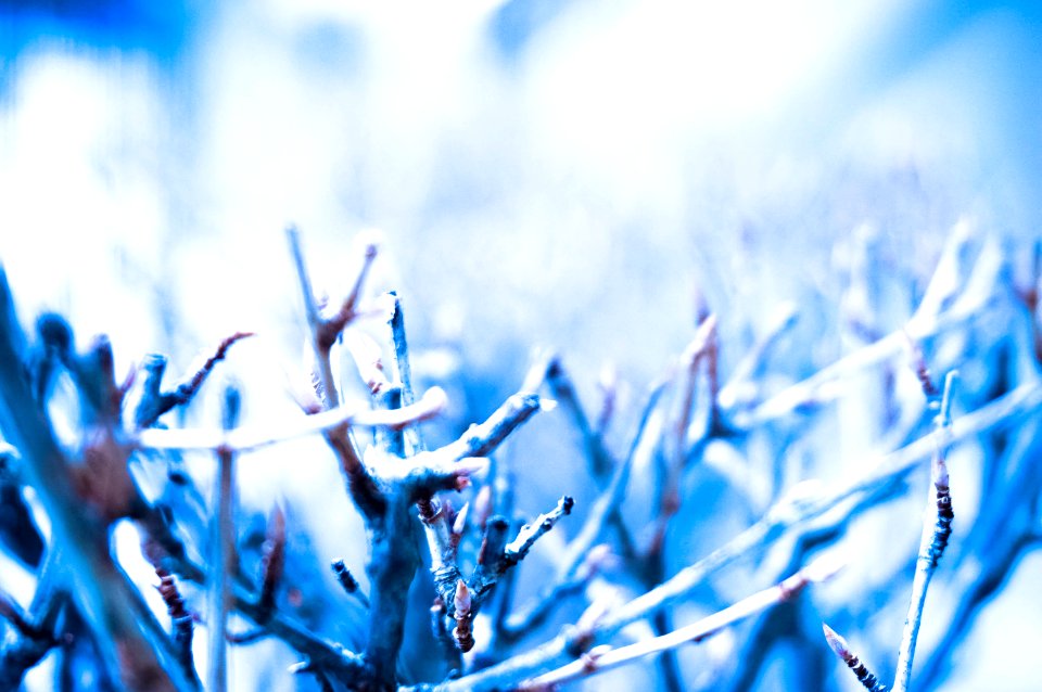 Toronto, Canada, Blue