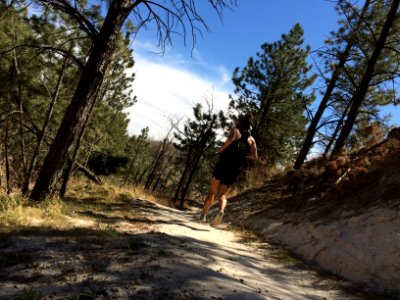 Trail run, Trees, Running shoes