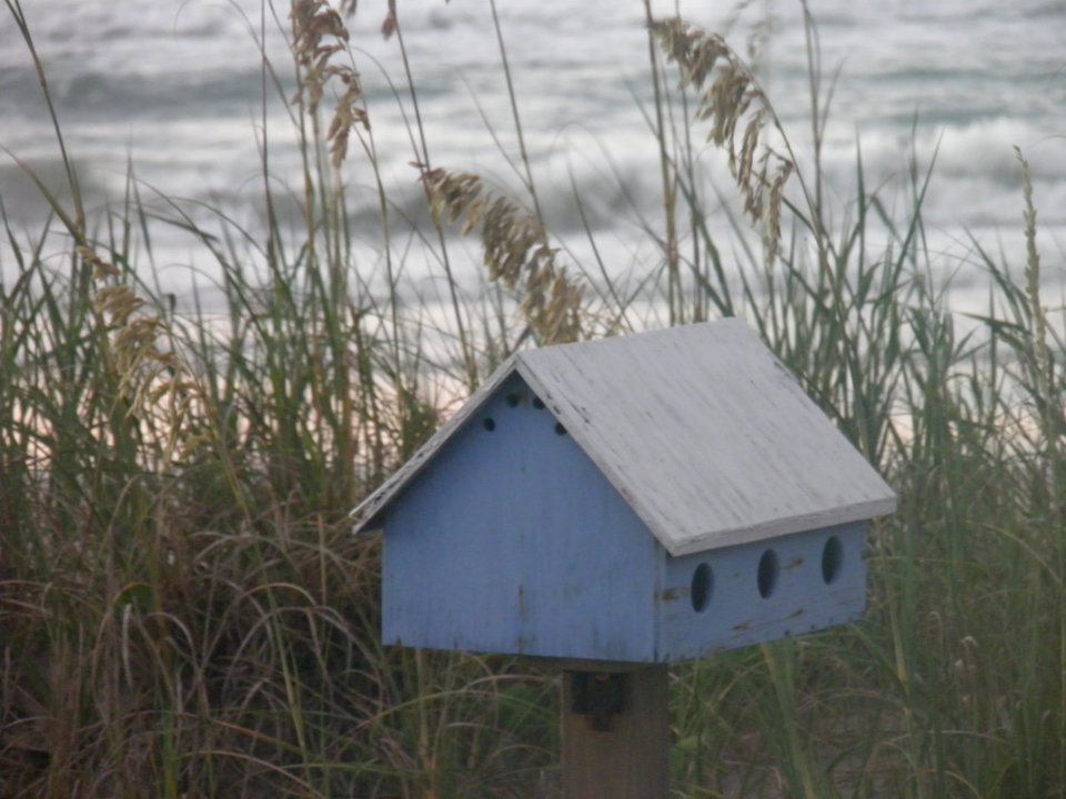 Dunes, Beach, Birdhouse