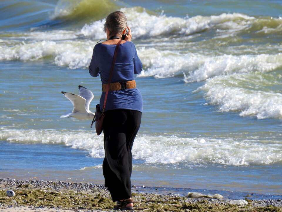 Seagull vacation beach