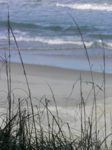 Topsail beach, United states, Ocean photo