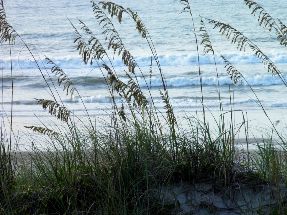 Topsail beach, United states, Beach