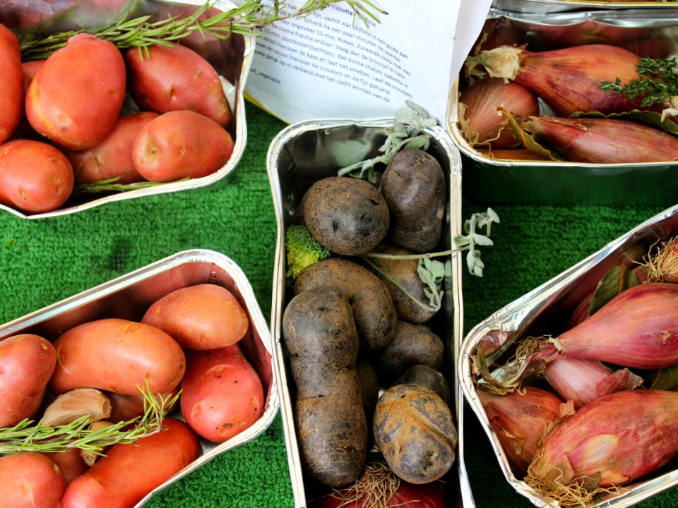 Rotterdam, Netherland, Healthy