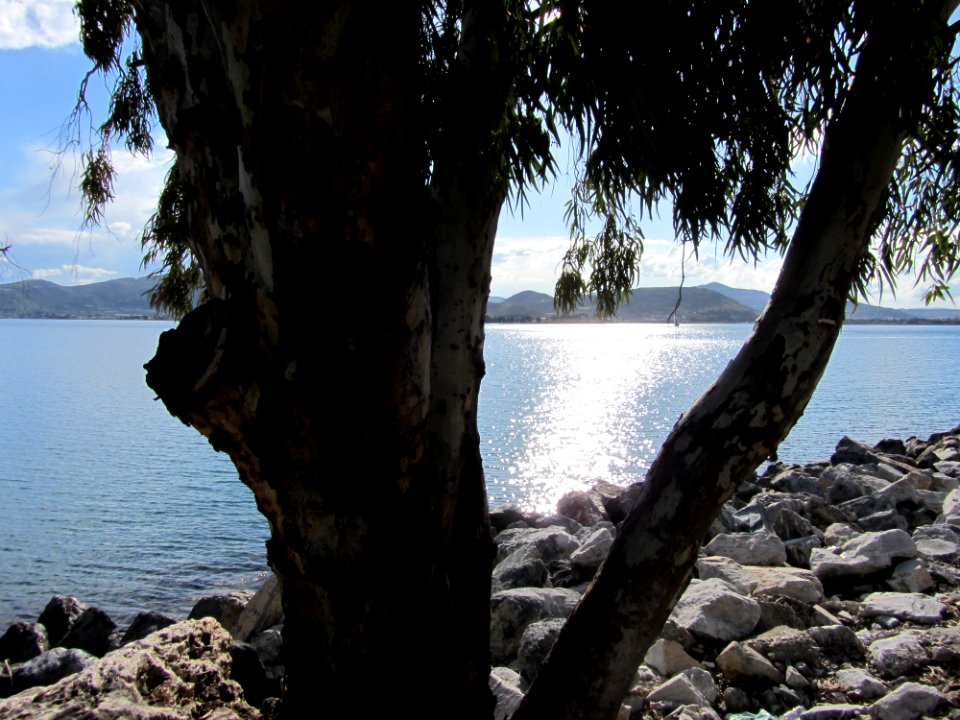 Seascape