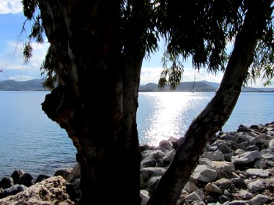 Seascape