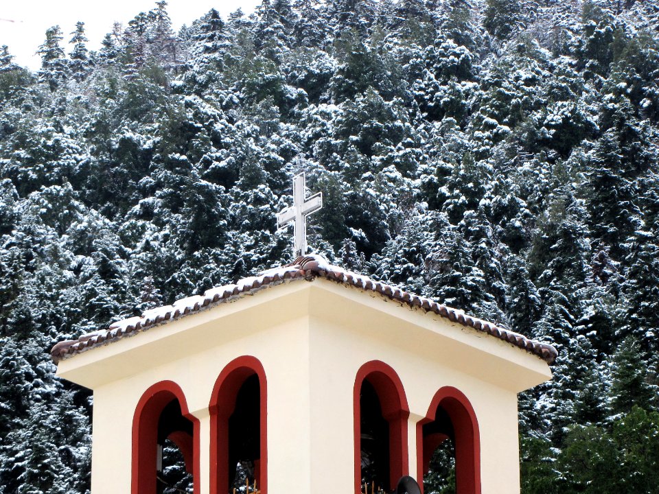 Trees, Snow, Church