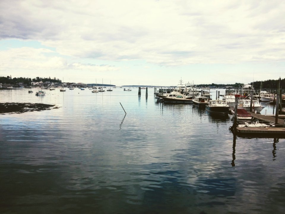 Fishing, Bay, Grey sky