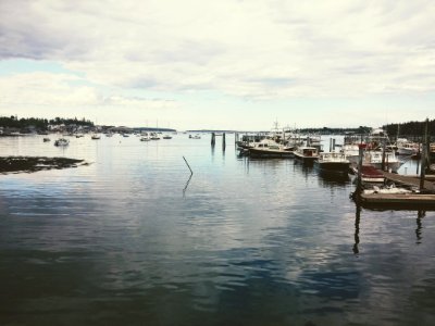 Fishing, Bay, Grey sky