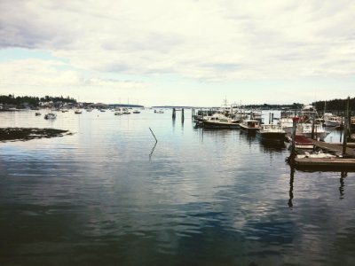 Fishing, Bay, Grey sky photo