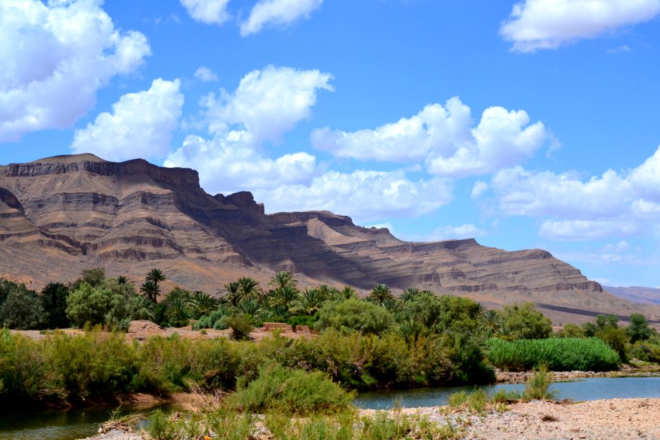 Morocco, Maroc, Oasis photo