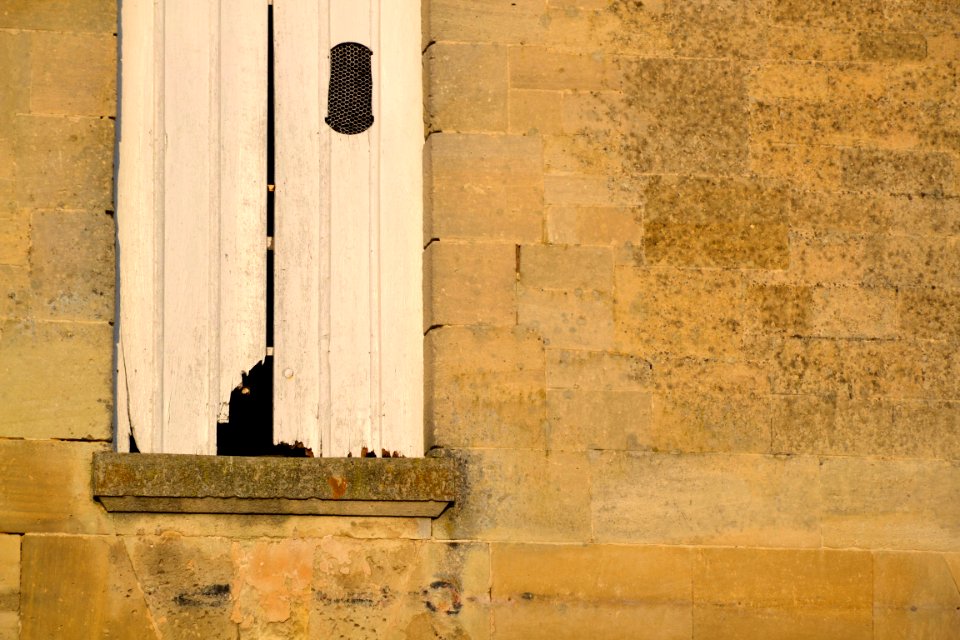Fentre, Window