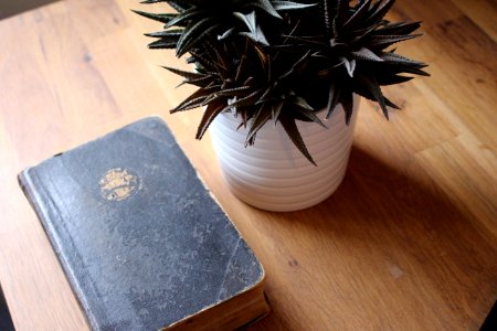 Light, White, Book