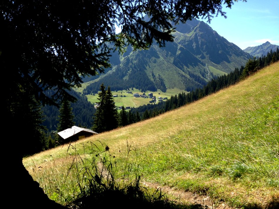 Austria, Holiday, Tree
