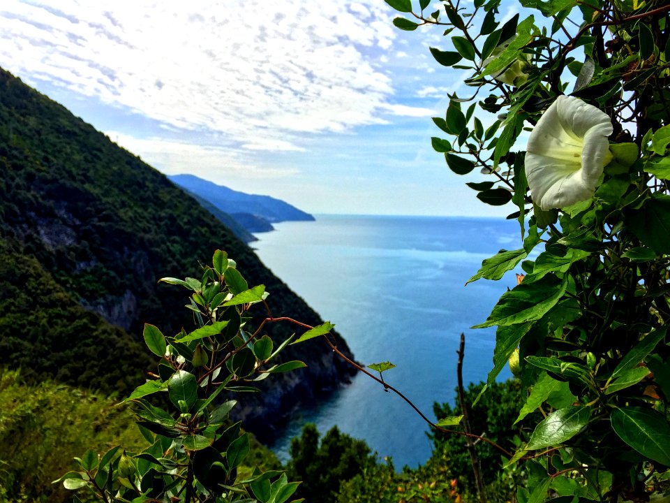 Italy, Cinque terre, Levanto