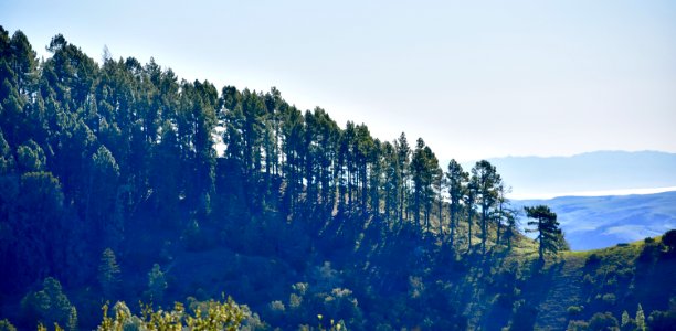 Hearst castle road, San simeon, United states