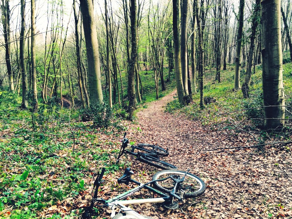 Belgrad forest, Baheky merkez mahallesi, Turkey